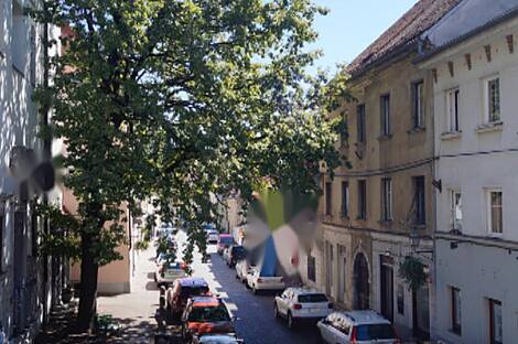 Центральная квартира с более чем пятью комнатами: 1