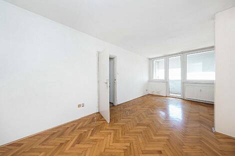 Трёхкомнатная квартира в Любляне: 2