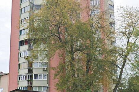 3-комнатная квартира в районе Шишка, Любляна: 2