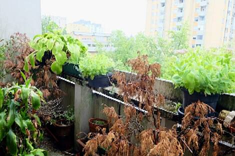 Ежица, квартира 4,5 комнаты: 4