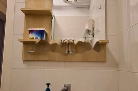 Квартира с более чем пятью комнатами, расположенная в Любляне: 19