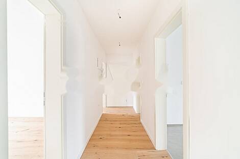 Квартира с четырьмя комнатами Шишка: 5