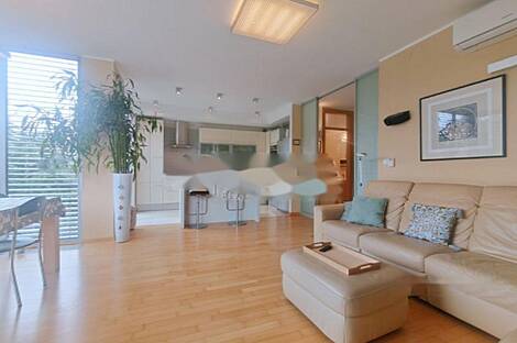 Квартира с более чем пятью комнатами на Руднике.: 1