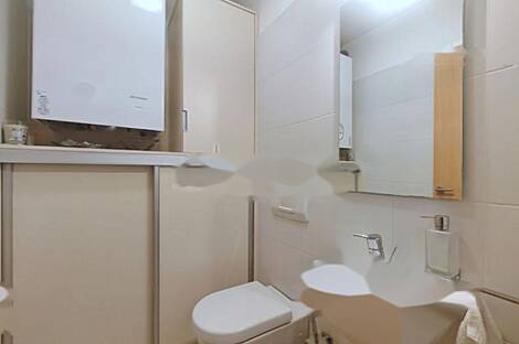 Квартира с более чем пятью комнатами на Руднике.: 4