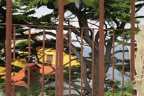 Четырехкомнатная квартира в центре: 15