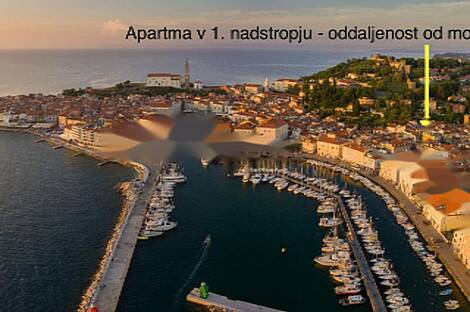 Квартира-студия в Пиране у побережья: 4