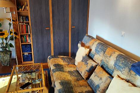 Студийная квартира в Изоле: 20