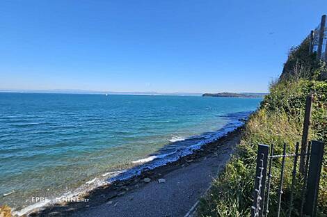 Квартира в Пиране с тремя комнатами: 2