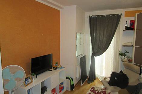 Квартира на четыре комнаты в Plavje: 11