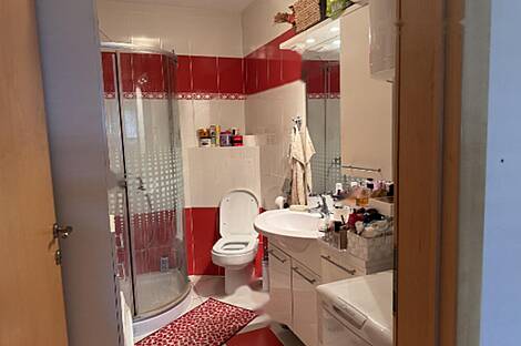 Трёхкомнатная квартира в Изоле: 9