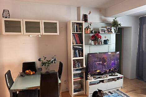 Трёхкомнатная квартира в Изоле: 11