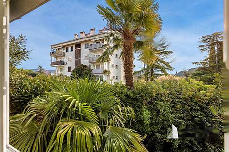 Лусина квартира с одной комнатой: 1