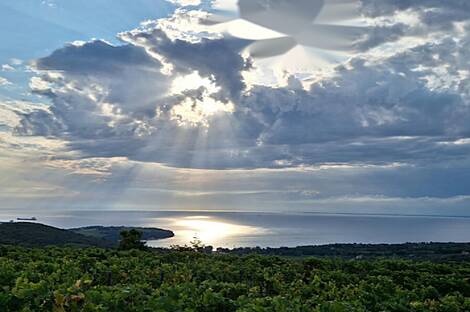 2-комнатная квартира в районе Коломбан.: 2
