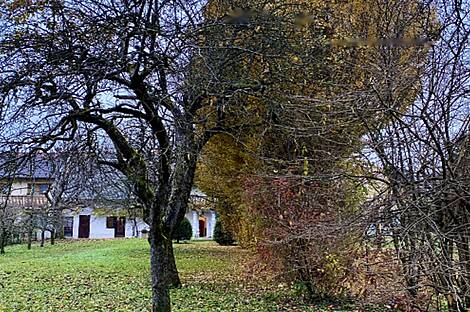 Жилище на улочке, выложенной кирпичом: 2