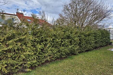 Дуплекс в Трново: 4