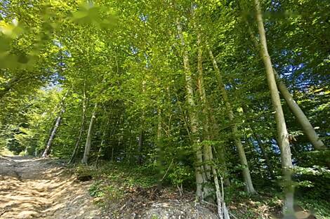 Двухквартирный дом Долги-Мост: 5