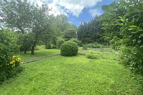 Жильё, Трново: 5