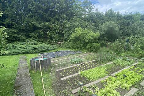 Жильё, Трново: 6