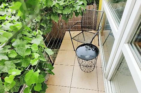 Жилье, СП. Шишка.: 5