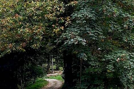 Здание, Явор, Любляна, Добрунье: 9