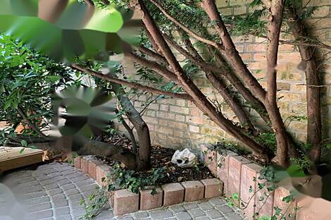 Жилище с террасой Мургле: 10