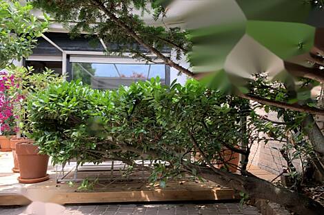 Жилище с террасой Мургле: 11