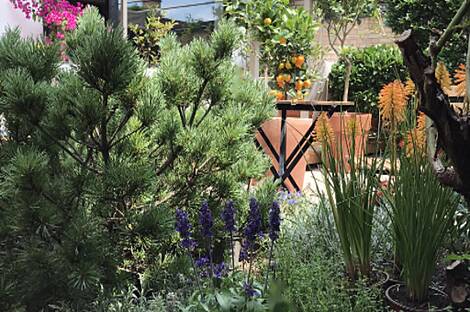 Жилище с террасой Мургле: 12