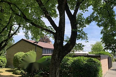 Жилище с террасой Мургле: 17