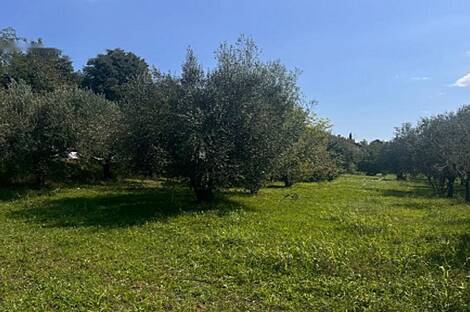 Ольчник, дом с двумя этажами: 11