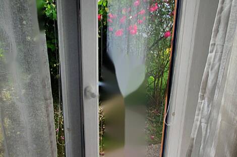 Дом Драгонья в три этажа: 5