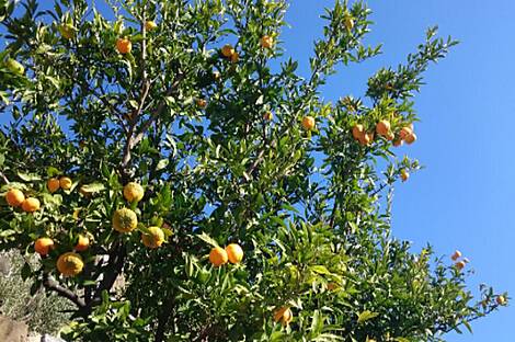 Порторож, дом: 13