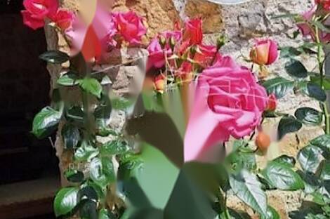 Дом, Порторож: 2