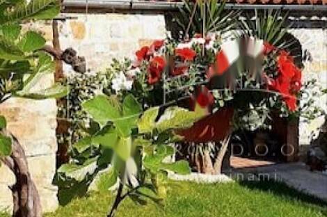 Дом, Порторож: 7