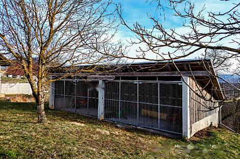 Усадьба 'Большой Цирник': 25