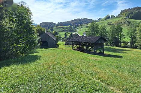 Усадьба и ферма в Гончаревой Долине: 2