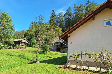 Усадьба и ферма в Гончаревой Долине: 5