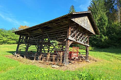 Усадьба и ферма в Гончаревой Долине: 13