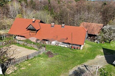 Усадьба, фермерское хозяйство, территория вокруг Полчаны.: 5