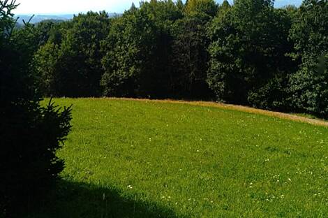 Ферма Преша, поместье: 4