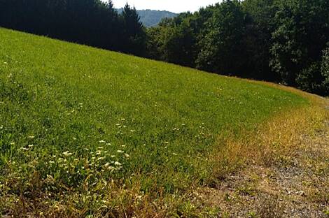 Ферма Преша, поместье: 6