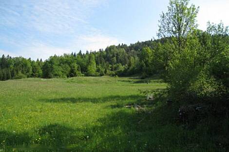 Дом у фермы Беч.: 1