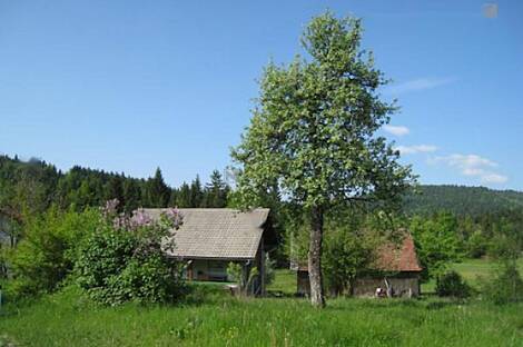 Дом у фермы Беч.: 3