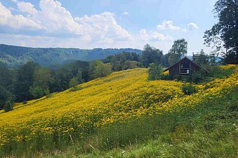 Мыза 'Кметияново Добрава': 5