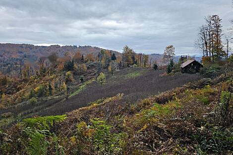 Мыза 'Кметияново Добрава': 7