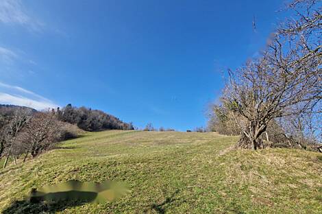 Усадьба, хозяйство Старый град: 6