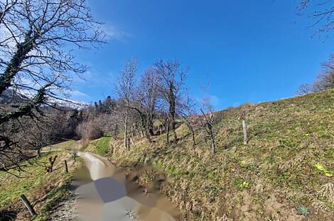 Усадьба, хозяйство Старый град: 7