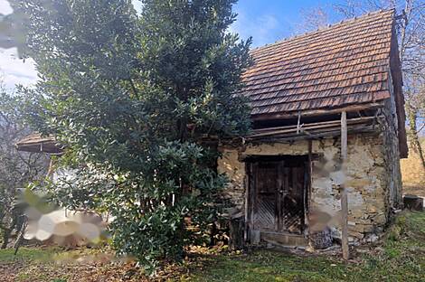 Усадьба, хозяйство Старый град: 8