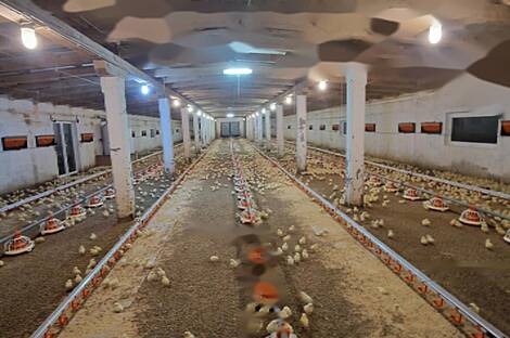 Усадьба 'Фаровец', расположенная вблизи Словенской Бистрицы: 3