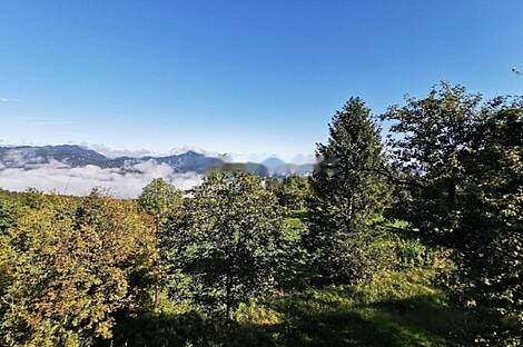 Дом, хозяйство на возвышенности.: 2