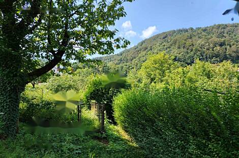 Храстник - усадьба, ферма.: 8